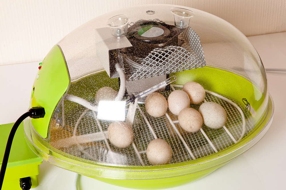how to know if incubator is working properly
